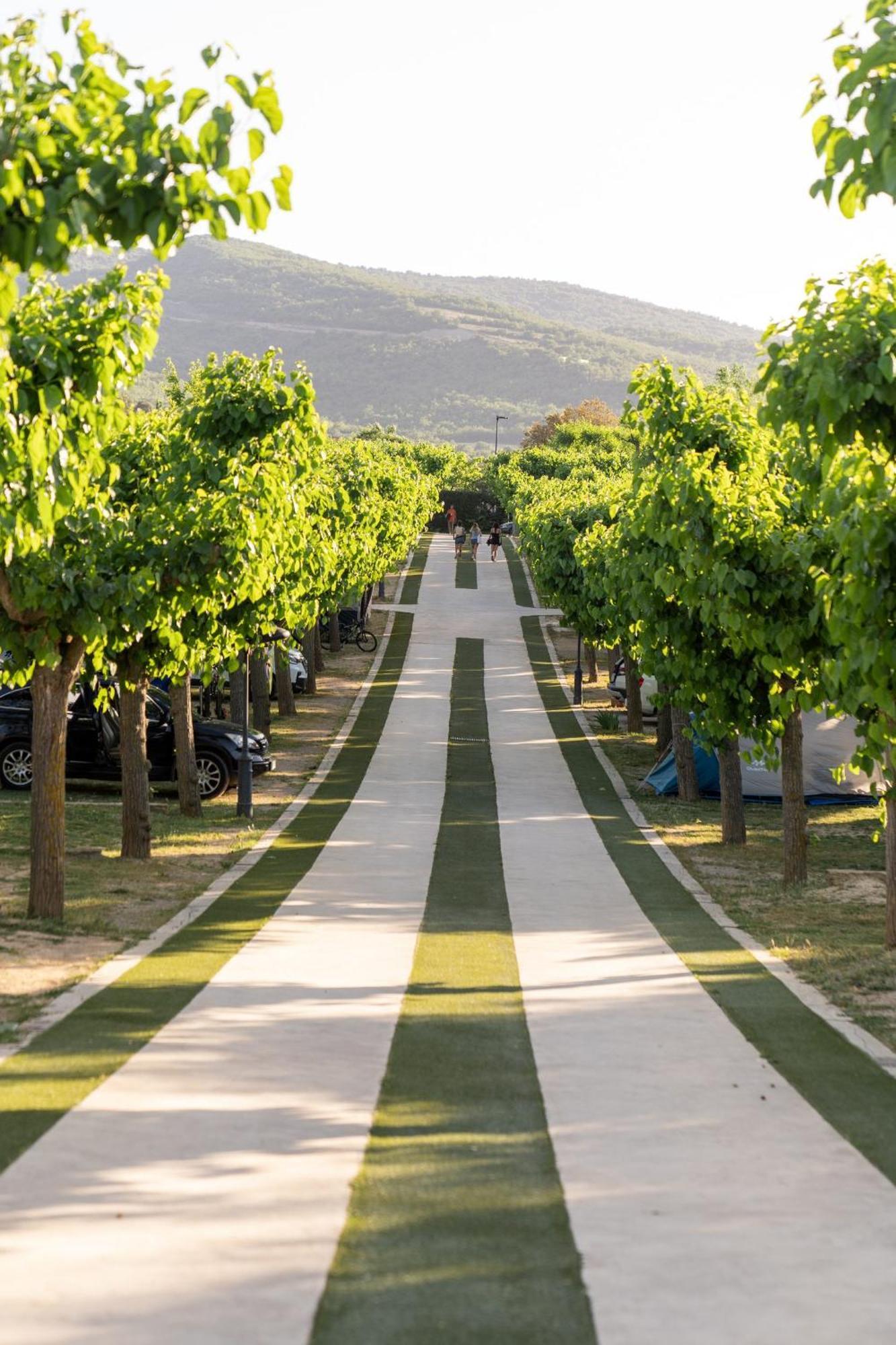 Vall D'Ager Resort & Camping 外观 照片